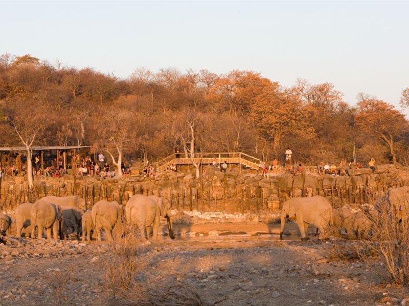 Hotel Halali Camp Etosha Zewnętrze zdjęcie